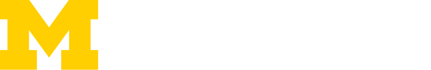 Institute for Energy Solutions