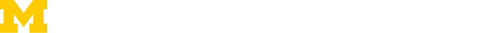 Institute for Energy logo
